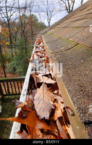 Grondaie intasato con caduta foglie. Foto Stock