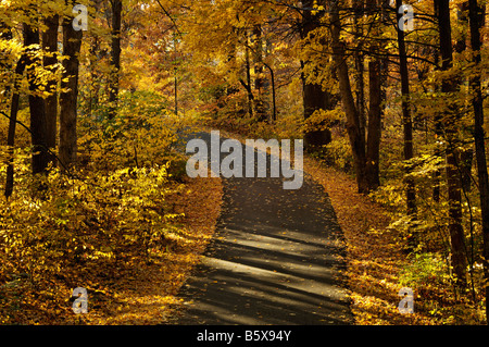 Autunno Piante e strada in Bernheim Arboretum e Foresta di ricerca Bullitt County Kentucky Foto Stock