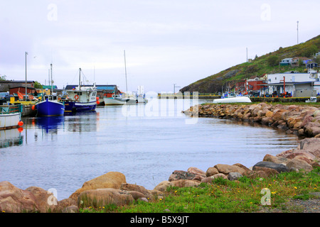 Petty Harbour, un villaggio di pescatori nelle acque di Terranova, del Canada Foto Stock