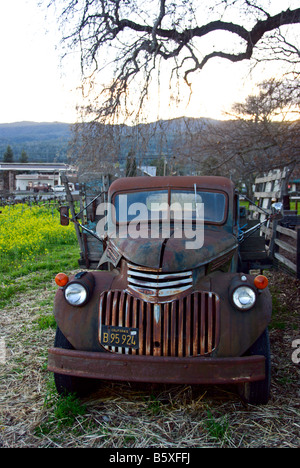 Pickup Vintage abbandonato nel vigneto Foto Stock