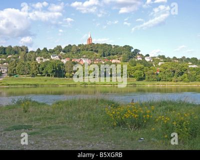 Il paesaggio della valle del fiume presso il fiume Nemunas presso il villaggio Vilkija in Lituania Paesi baltici Foto Stock