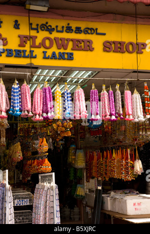 Tradizionale negozio di fiori, Little India, Singapore Foto Stock