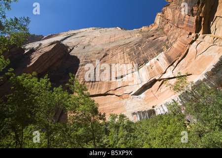 Rocce a strapiombo dominano Smeraldo superiore piscina nel parco nazionale di Zion nel sud dello Utah. Foto Stock