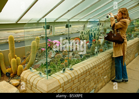 Royal Botanic Gardens di Kew Richmond Londra Principessa di Galles conservatorio cactus e piante grasse Foto Stock