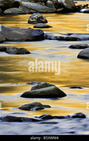 Colore di autunno riflessioni e massi sul piccolo fiume Great Smoky Mountains National Park Tennessee Foto Stock