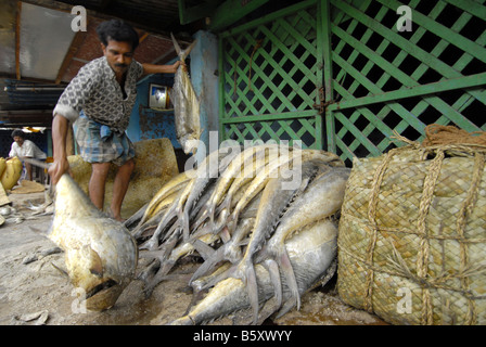 Mercato del Pesce a MADURAI TAMILNADU Foto Stock