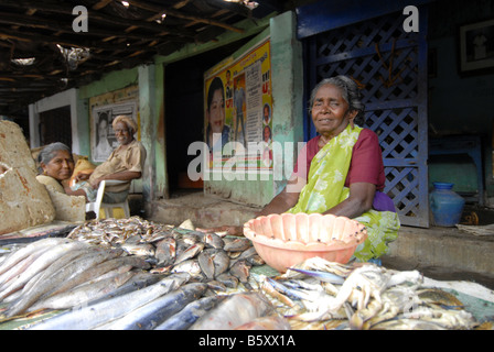 Mercato del Pesce a MADURAI TAMILNADU Foto Stock