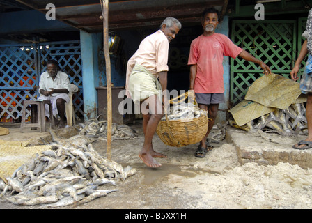 Mercato del Pesce a MADURAI TAMILNADU Foto Stock