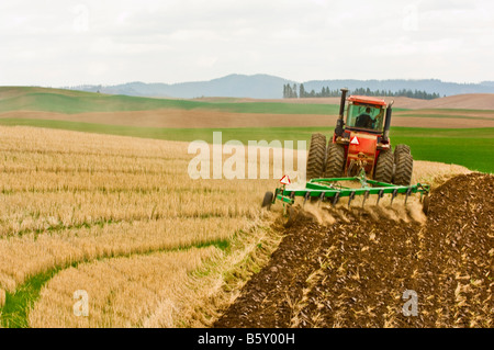 La preparazione del letto di semina prima della semina cereali o legumi nella regione Palouse di Washington Foto Stock