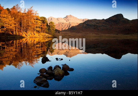 La mattina presto sole illumina autunno alberi sulle rive del Tarn Blea e Langdale Pikes riflette ancora in acqua, Lake District, REGNO UNITO Foto Stock