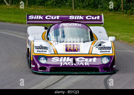 1990 Jaguar XJR12 con driver Justin Law a Goodwood Festival della velocità, Sussex, Regno Unito. Foto Stock