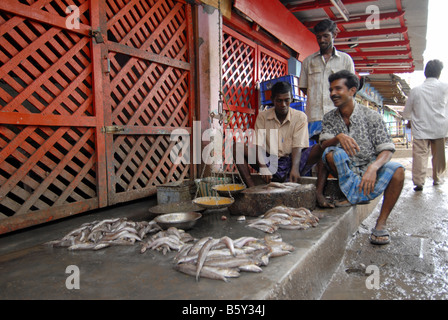 Mercato del Pesce a MADURAI TAMILNADU Foto Stock