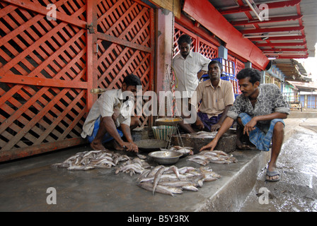 Mercato del Pesce a MADURAI TAMILNADU Foto Stock