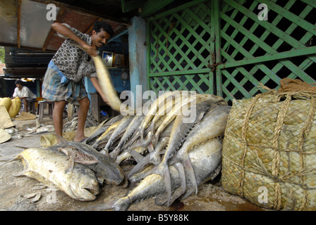 Mercato del Pesce a MADURAI TAMILNADU Foto Stock