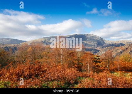 Una vista attraverso Tarn Hows su un bel chiaro e nitido giornata invernale " Parco Nazionale del Distretto dei Laghi' Cumbria, Regno Unito Foto Stock