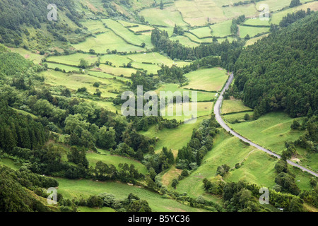 I campi con le vacche alla collina delle Sete Cidades, São Miguel, Azzorre, Portogallo Foto Stock