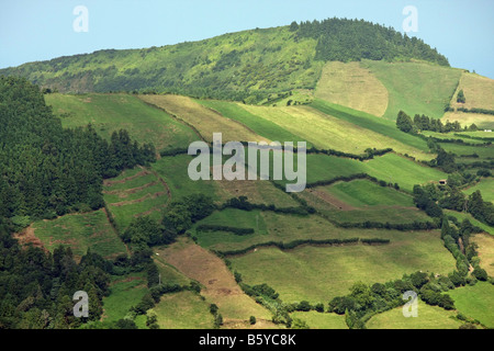 I campi con le vacche alla collina delle Sete Cidades, São Miguel, Azzorre Portogallo Foto Stock