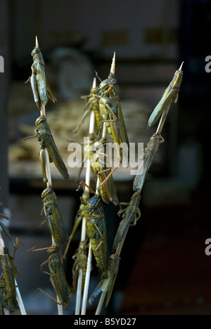 Cavallette commestibile per la vendita in un mercato di strada nell'area di Wangfujing di Pechino CINA Foto Stock