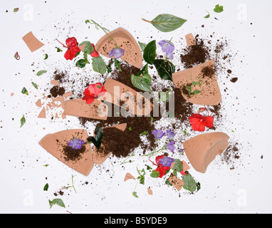 Vaso rotto con gerbera daisy fiore sul pavimento Foto Stock