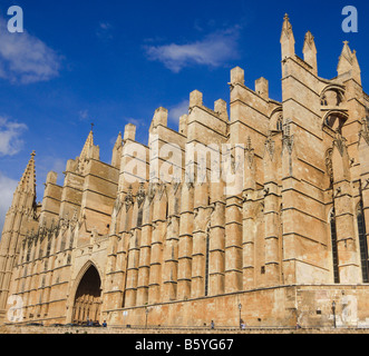 Palma de Mallorca cattedrale di La Seu sud aspetto con Portal del Mirador Foto Stock