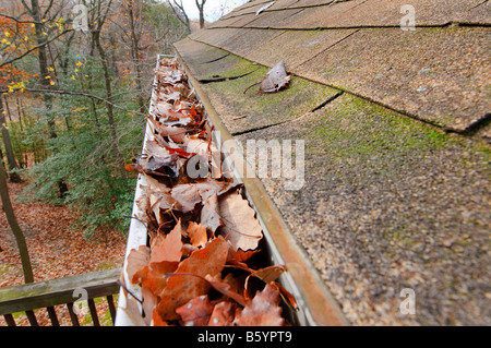 Grondaie intasato con caduta foglie. Foto Stock