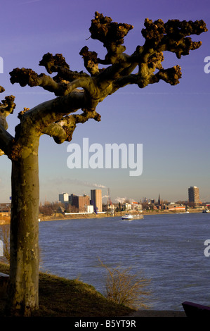 Rhine Foto Stock