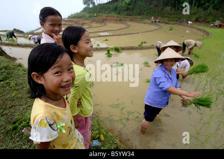 I bambini di ridere madri riso piantagione Bac ha area Nord Vietnam Asia Foto Stock