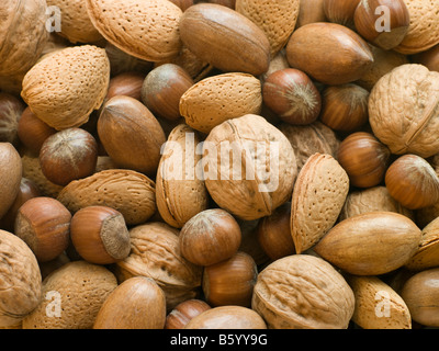 Selezione di dadi misti in guscio Foto Stock