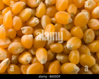 Pop Corn chicchi di mais Foto Stock