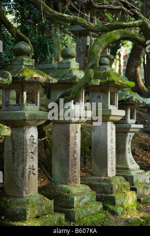 Il Santuario Kasuga lanterne Foto Stock