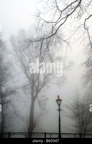 Una strada lampada a gas nel Phoenix Park di Dublino, Irlanda Foto Stock