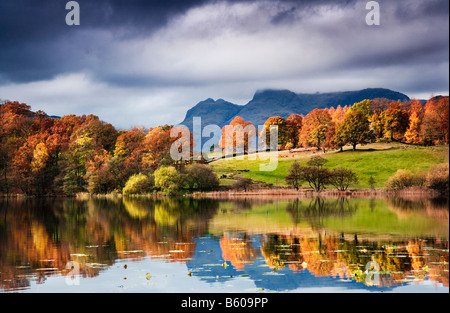 In autunno il sole illumina i boschi sulla banca di Loughrigg Tarn con The Langdale Pikes nella distanza contro un cielo tempestoso Foto Stock