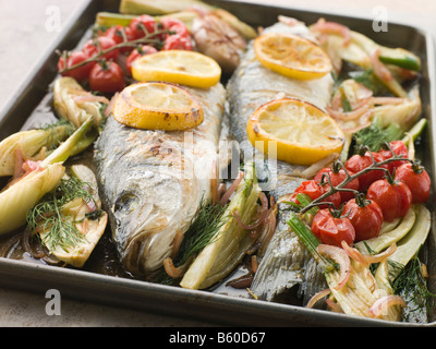 Spigola intera arrosto con finocchio Limone e Aglio Pomodori ciliegia sulla vite Foto Stock