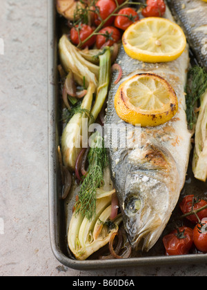 Spigola intera arrosto con finocchio Limone e Aglio Pomodori ciliegia sulla vite Foto Stock