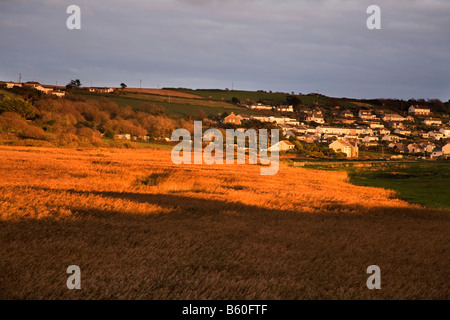 Marazion marsh nella luce della sera Cornovaglia Foto Stock
