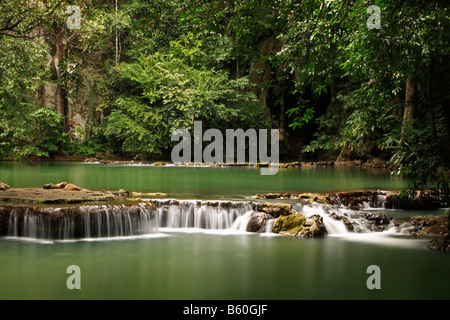 Forest, Cascata di Bok Khorani Parco Nazionale vicino a Krabi, Thailandia, Asia Foto Stock