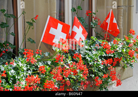 Swiss flag in cassette di fiori su un davanzale, Zofingen Argovia, Svizzera, Europa Foto Stock