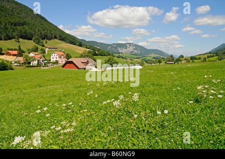 Prati e montagne, agriturismo, paesaggio rurale vicino a Moutier, Giura bernese, il Cantone di Berna, Svizzera, Europa Foto Stock