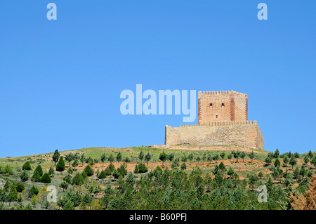 Castello Alcazar, fortezza, torre, Molina de Aragon, Castiglia La Mancha, in Spagna, Europa Foto Stock