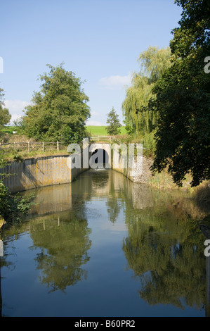 Guscio Brook Southampton West Sussex Foto Stock