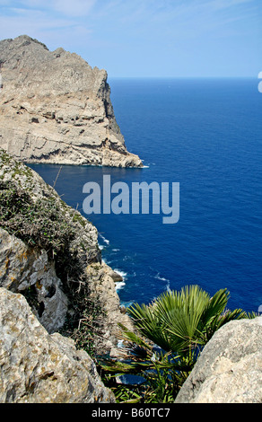 La vista dal Mirador es Colomer visitatore sulla terrazza del Cap de Catalunya und Cala Figuera, Formentor penisola, Mallorca Foto Stock