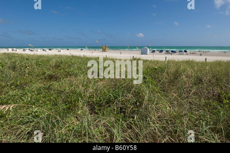 Protetto da dune di sabbia sulla spiaggia di South Beach Miami Florida Foto Stock