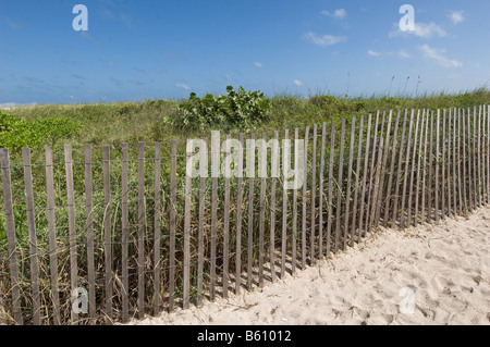 Protetto da dune di sabbia sulla spiaggia di South Beach Miami Florida Foto Stock