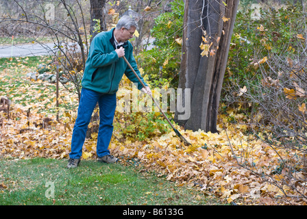 L'uomo facendo cadere foglie pulire con rastrello Foto Stock