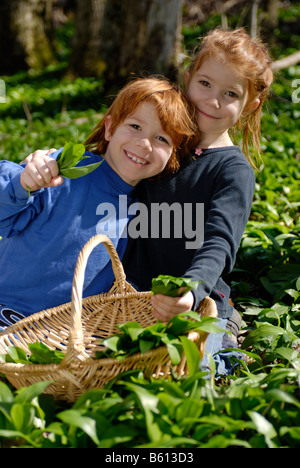 Un ragazzo e una ragazza con un cesto di raccolta di aglio selvatico in una foresta Foto Stock