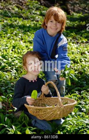 Un ragazzo e una ragazza con un cesto di raccolta di aglio selvatico in una foresta Foto Stock