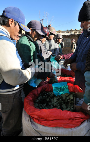 I minatori acquisto di foglie di coca prima di lavorare nella miniera, Llallagua centro minerario, Potosi, Bolivia, Sud America Foto Stock