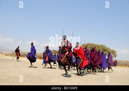 Massai facendo una danza tradizionale nel villaggio di Kiloki, Serengeti, Tanzania Africa Foto Stock