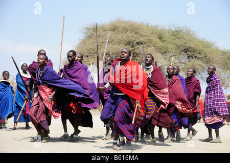 Massai facendo una danza tradizionale nel villaggio di Kiloki, Serengeti, Tanzania Africa Foto Stock