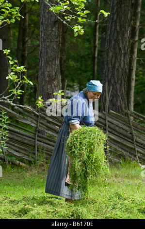 La moglie di un agricoltore raccolta di fieno, museo all'aria aperta, Tallinn, Estonia, paesi baltici, Europa nord-orientale Foto Stock